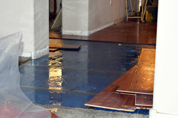 Professional Flood Cleanup technician working in Spiceland, IN
